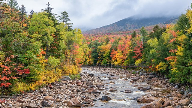 Autumn at Lincoln Woods on the Kancamagus Highway in the White Mountains of New Hampshire