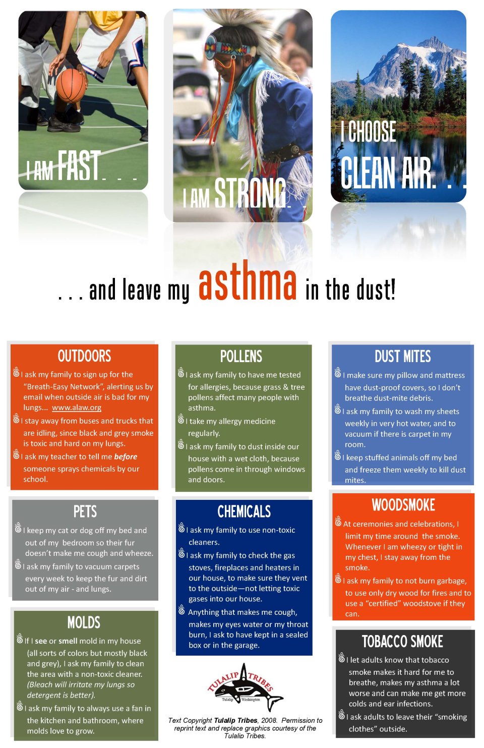 Cover Leave Asthma in the Dust Poster