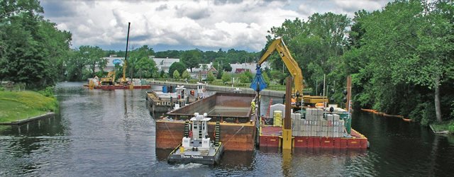 Cleanup along the Lower Neponset River