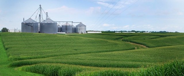 Grain silos and field