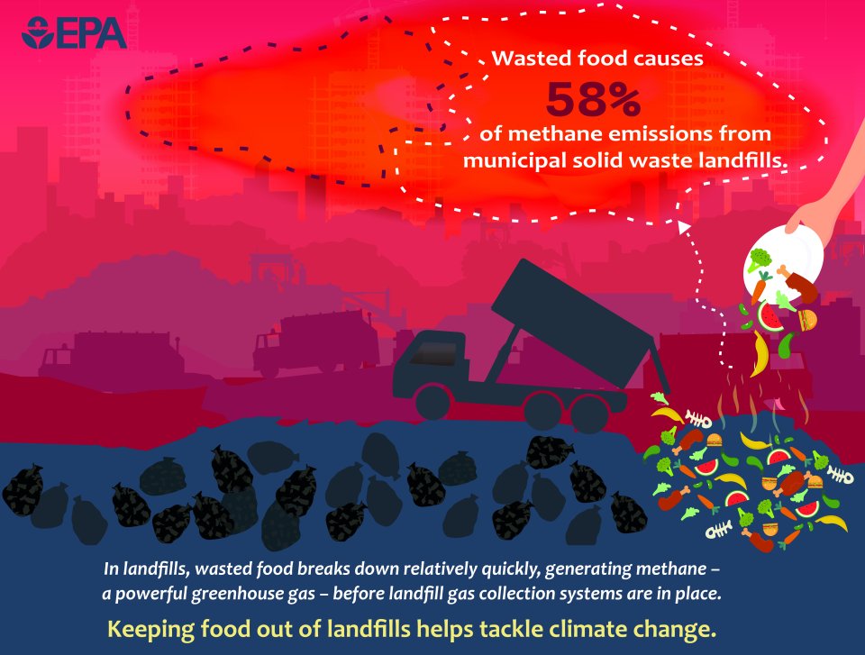 Illustration of a landfill with truck in foreground dumping food waste on the ground and superimposed in the corner a hand holding a plate with uneaten food being scraped into the food waste pile.  Text at the bottom reads:  In landfills, wasted food breaks down quickly, generating methane before landfill gas collection systems are in place. Wasted food causes 58% of methane emissions from landfills, but food waste only makes up about a quarter of the total waste in landfills  EPA logo.
