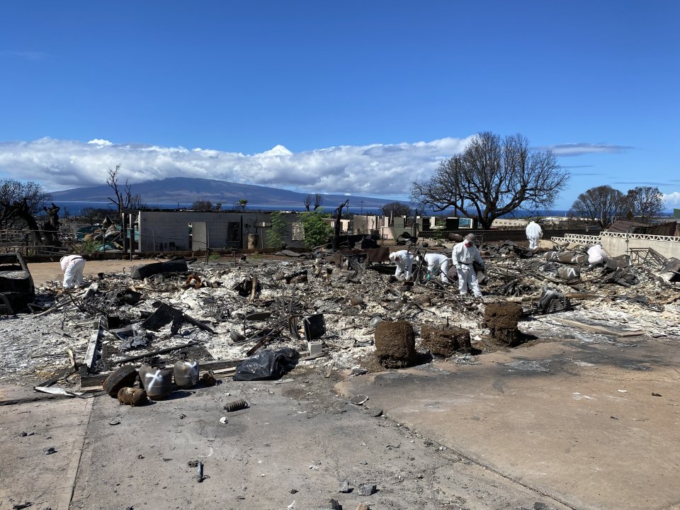 People in protective coveralls search through ash and debris at a burned property in Lahaina, Maui, Hawaii.