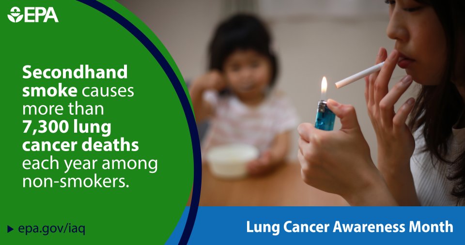 image of a woman lighting a cigarette with small child looking on text reads Secondhand Smoke causes more than 7,300 lung cancer deaths each year among non-smokers.