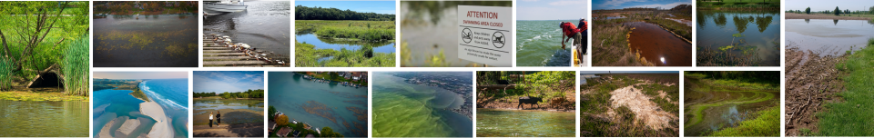 Decorative compilation of pictures depicting harmful algal blooms and nutrient sources.