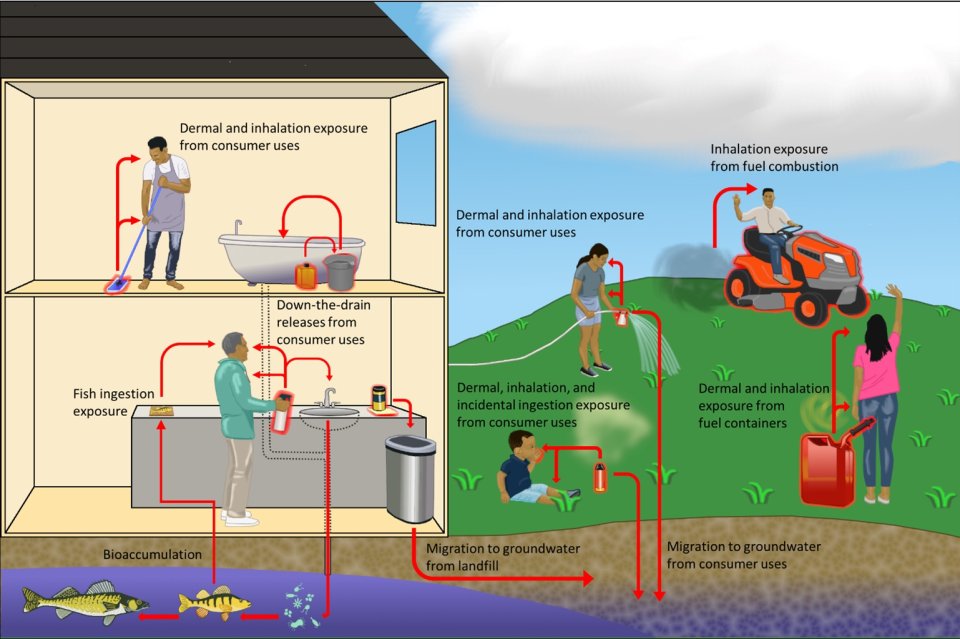 Image depicts potential consumer exposure pathways for this PFAS such as  inhalation of fuel combustion,  or fuel containers, migration to groundwater from landfill,  bioaccumulation, or fish ingestion