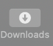 Safari Browser Download Icon