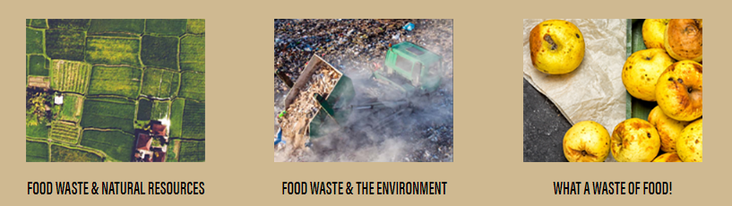 Screenshot of lessons that are part of Purdue's Food Waste Curriculum