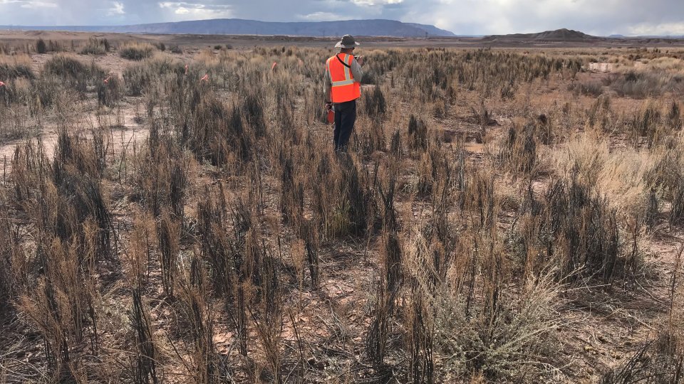 April 2019 Contracting team assists in survey of subsidence areas on Yazzie No 312 mine site