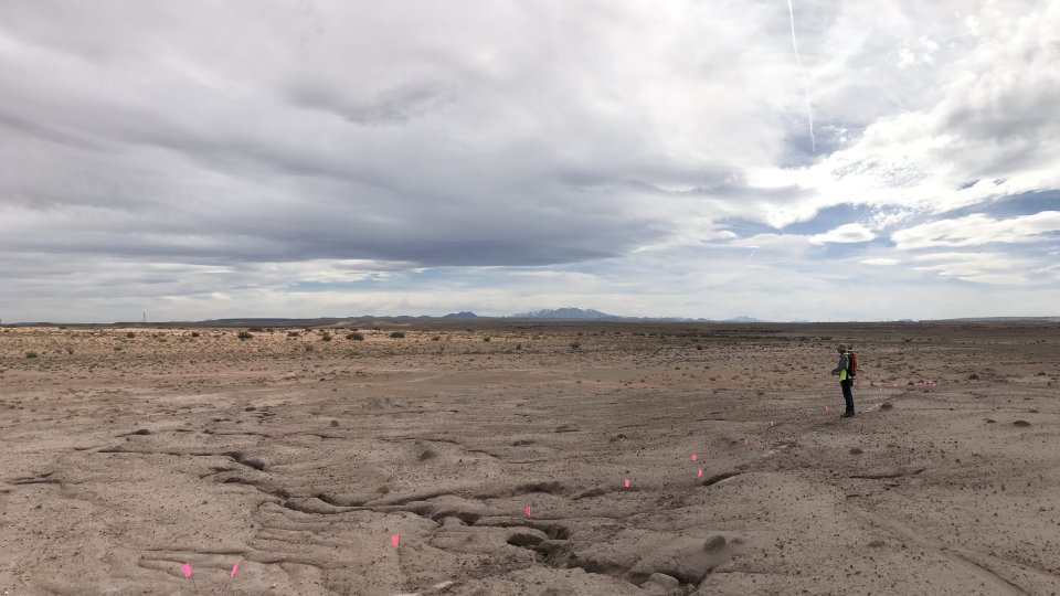 April 2019 Contracting team walking 5-foot transects while gamma scanning Yazzie No. 312 mine site.