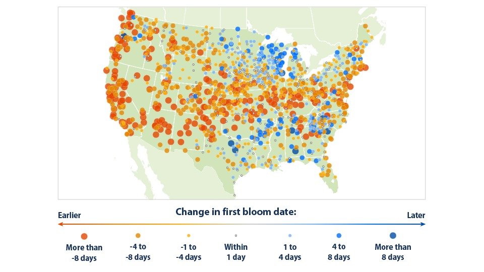 Change in First Bloom Date Between 1951–1960 and 2011–2020.