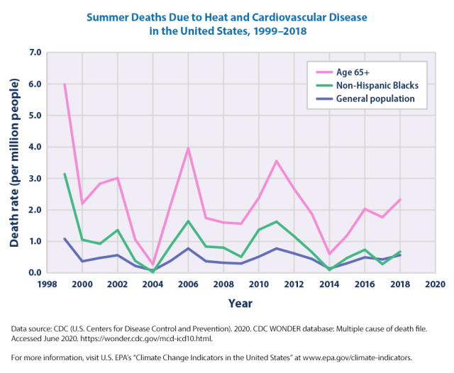 Figure 2. Summer Deaths due to Heat and Cardiovascular Disease in the United States. This graph presents summer (May–September) death rates from 1999 to 2018 for three population groups in the United States. The blue line shows rates for the entire population, the green line shows rates for non-Hispanic Black people, and the pink line shows rates for people aged 65 and older. 