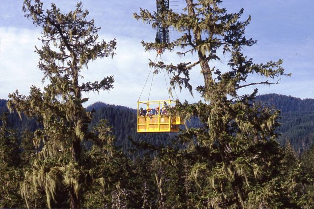 Wind River Canopy Crane accessing an old growth Douglas Fir forest (Wind River, Washington)