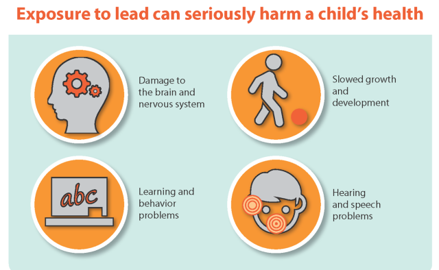 Lead health graphic