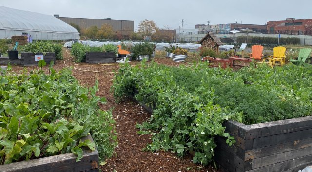 Urban farm managed by Keep Growing Detroit