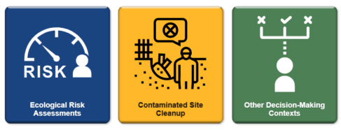 Portal Infographic showing icons representing ecological risk assessments, contaminated site cleanup, and other decision-making contexts