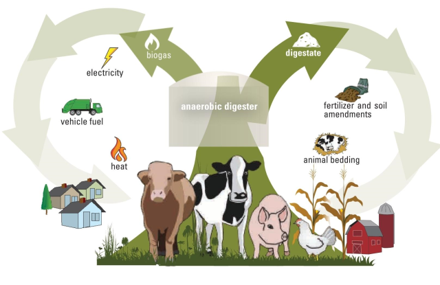 Anaerobic digestion infographic