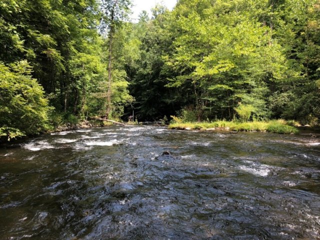 A stream site in the southeastern US. Photo courtesy of EPA Region 4.