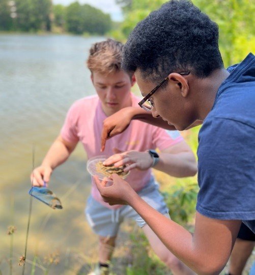 SSI students analyze microinvertebrate samples at Discovery Lake.