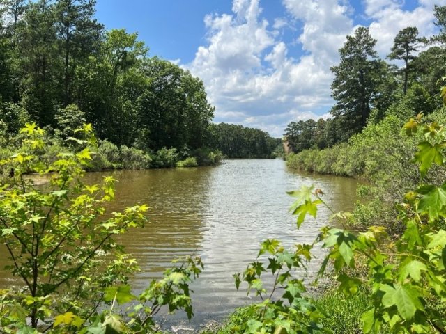 View from Discovery Lake, EPA-RTP.