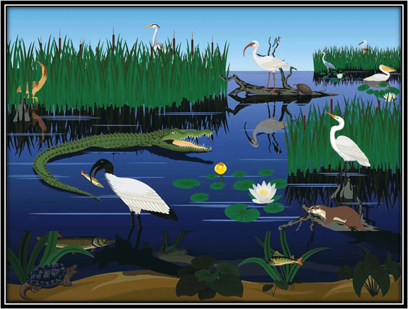  SeqAPASS graphic with many different species in a wetland environment including birds, fish and reptiles.