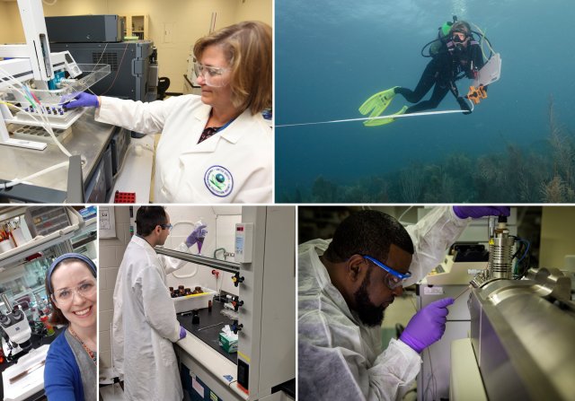 Top left image of EPA scientist analyzing environmental samples in a laboratory, top right image of an EPA diver studying coral, bottom left image of epa researcher smiling at camera with microscopes in the background, bottom middle image of researcher working under safety hood, right bottom image of researcher in lab working with equipment.