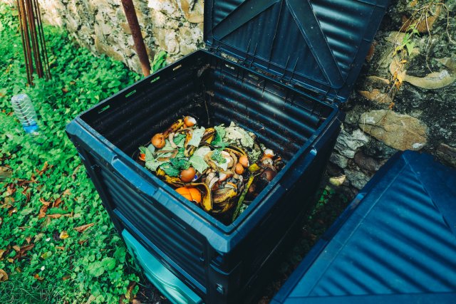 This is a photo of a plastic compost bin that has a lid that closes tight to keep critters out of the food waste inside of it.