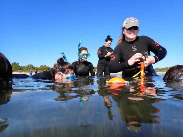 Students and scientists snorkel to observe local flora and fauna.