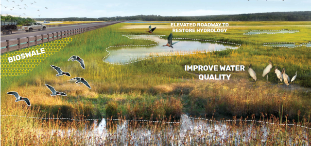 Image shows a roadway and adjacent wetland with a bioswale, ponds, and birds. Text shows the location of the "bioswale," "elevated roadway to restore hydrology", and "improve water quality."