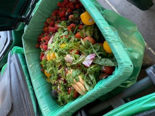 Closeup photo of food waste in a bin. 