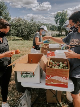 Image of a group of volunteers sorting and distributing boxes of food. 