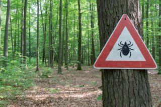 Warning sign about ticks.