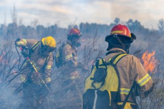 A group of firefighters in yellow protective suits battle a wildfire blaze.