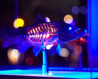 An interactive sculpture in the shape of a fish