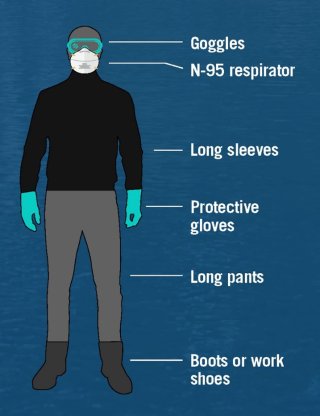 Image of Personal Protective Equipment (PPE) that should be worn during a flood cleanup