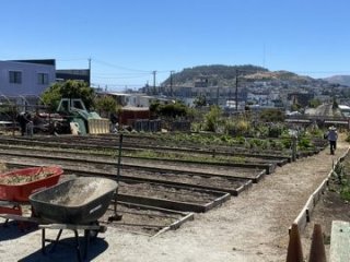 Florence Fang Community Farm in SF’s Bayview