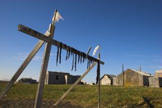 salmon hanging to dry in the traditional way developed by native Alaskans
