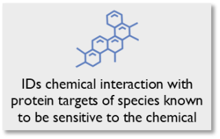Identifies chemical interaction with protein targets of species known to be sensitive to the chemical.
