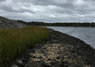 Photograph showing a shoreline with breakwater protection structures along harbor side of the capped landfille