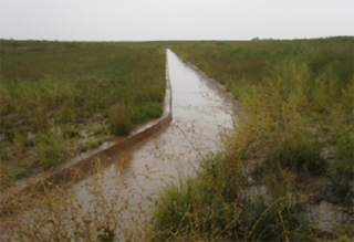 Photograph depicting concrete drainage canals surrounded by grass