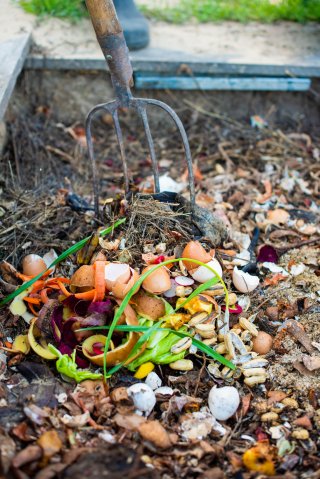 This is a picture of a pitchfork raking food waste in a compost pile