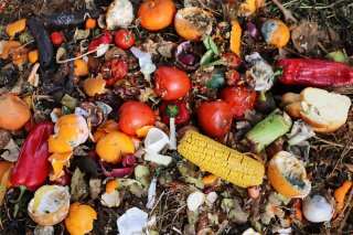 food waste image in soil