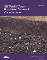 Report cover Persistent Chemical Contaminants
