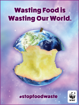 Food Waste Warriors Poster that reads "wasting food is wasting our world" and produced by the World Wildlife Fund