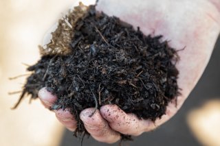 Closeup photo of Compost held in hand