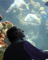 David Cash, peering into an aquarium with a fish swimming around inside