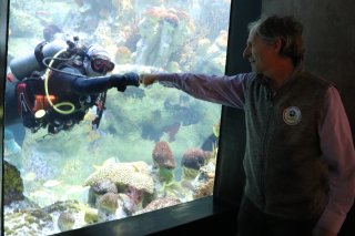 David Cash, Region 1 Administrator fist bumping a diver in a fish tank