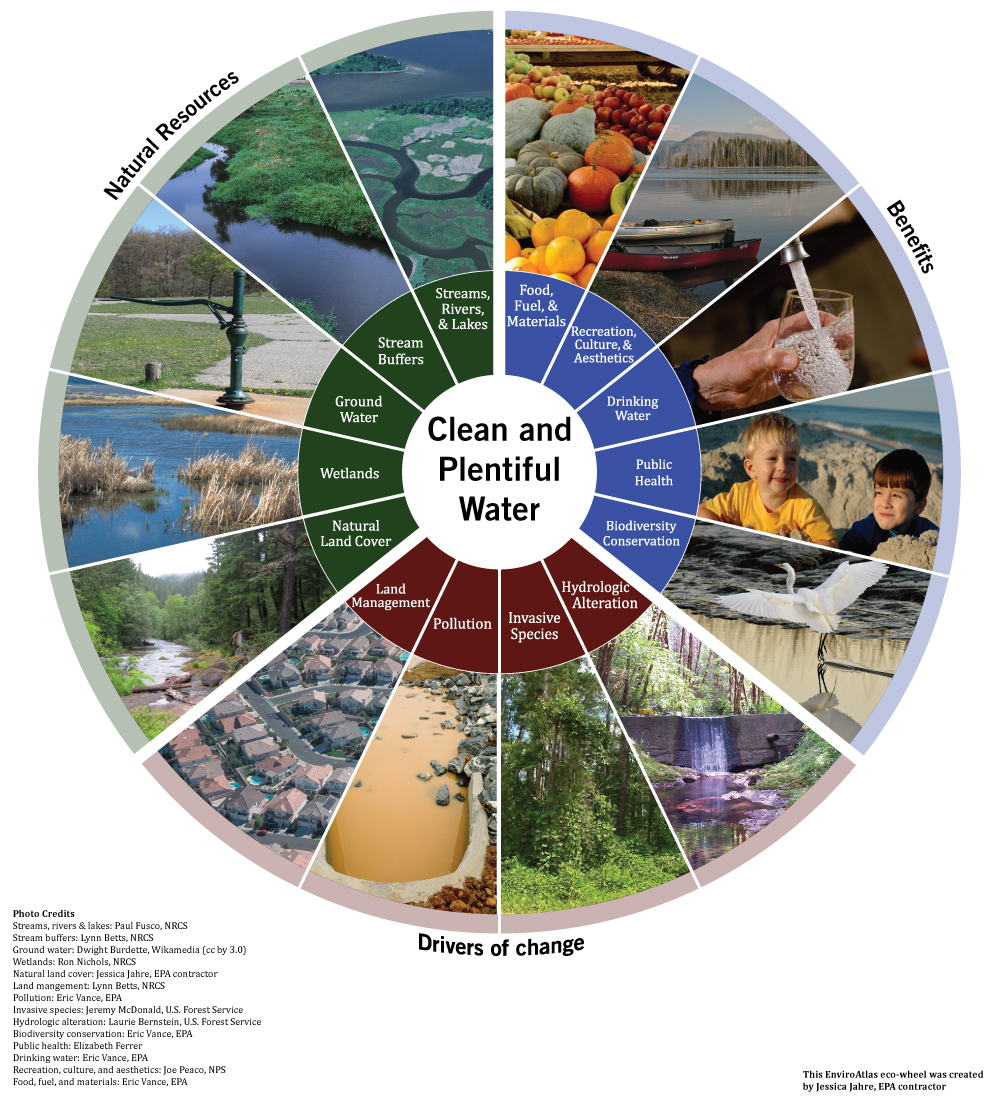 Types of Water: 9 Different Sources and Brands, Plus Benefits & Risks