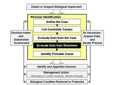 Figure 4-1. Illustrates where Step 4, Evaluate Data from Elsewhere" fits into the Stressor Identification process.