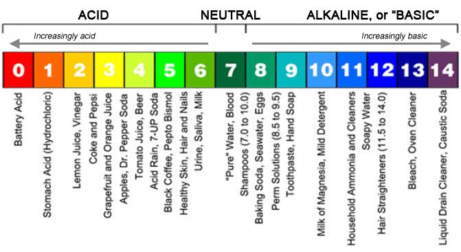 graphic showing the range of pH levbels, from 0 (most acid) on the far left to 14 (most basic) on the far right.  Graphic also shows the pH level of a variety of common substances such as battery acid, water, or shampoo.