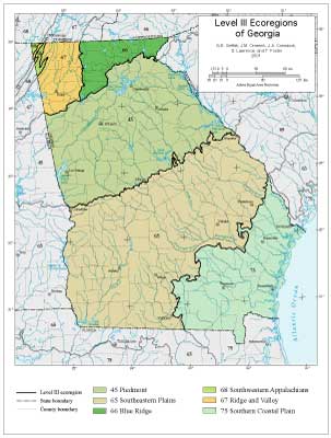 Level III Ecoregions of Georgia--page size